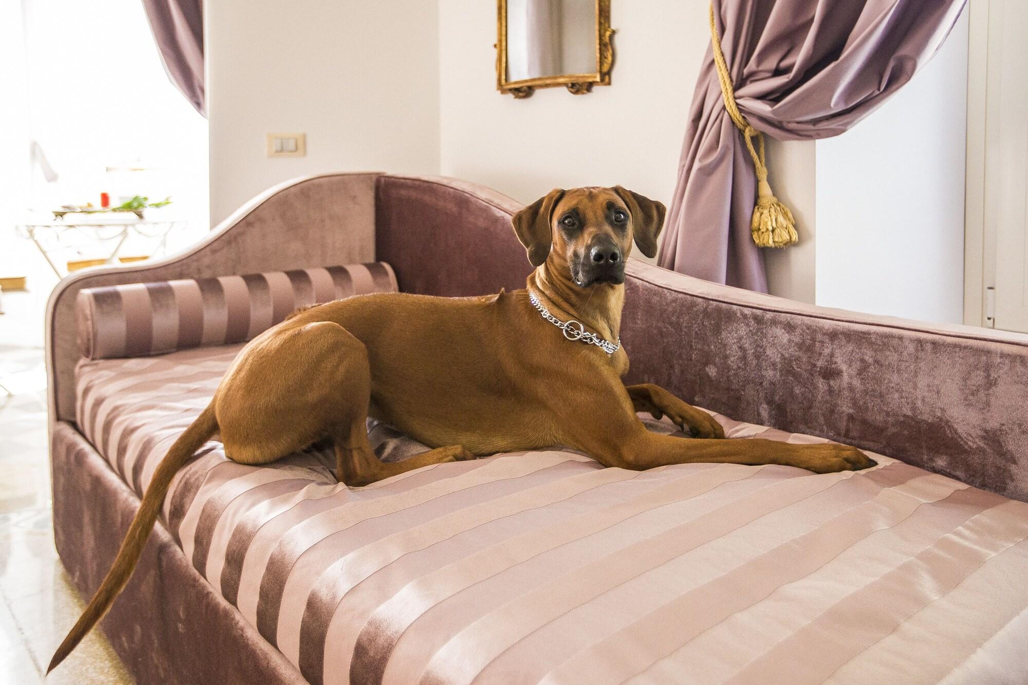 Trastevere Royal Suite Roma Exterior foto